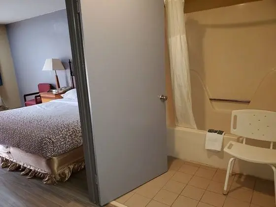 Standard Oda, 1 En Büyük (King) Boy Yatak, Engellilere Uygun (1 queen bed)