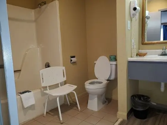 Standard Oda, 1 En Büyük (King) Boy Yatak, Engellilere Uygun (1 queen bed)