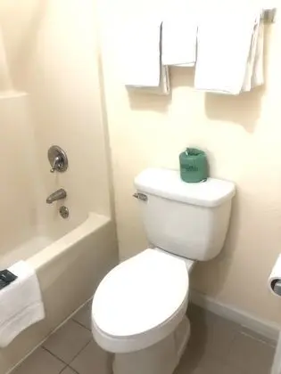Tek Büyük Yataklı Oda (2 double beds )