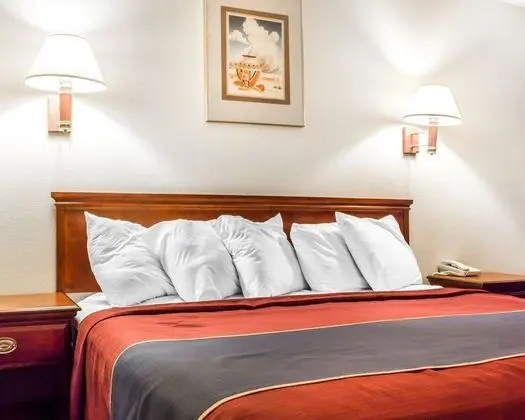 Standard Oda, 1 En Büyük (King) Boy Yatak, Sigara İçilmez