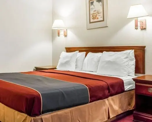 Standard Oda, 1 En Büyük (King) Boy Yatak, Sigara İçilmez