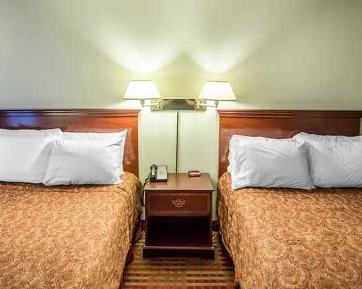 Standard Tek Büyük Yataklı Oda, 2 Çift Kişilik Yatak, Sigara İçilmez