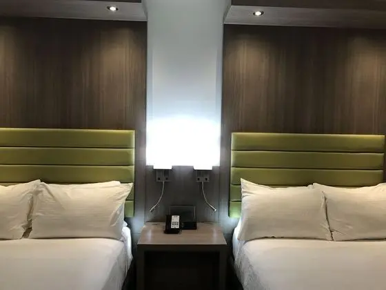 Standard Tek Büyük Yataklı Oda, 2 Çift Kişilik Yatak, Sigara İçilmez