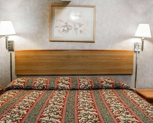 Standard Oda, 1 En Büyük (King) Boy Yatak, Sigara İçilmez