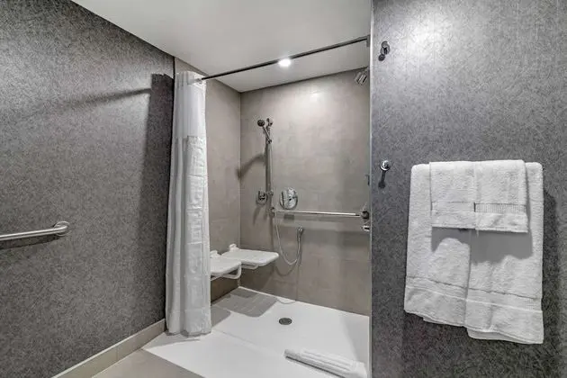 Oda, 1 En Büyük (King) Boy Yatak, Engellilere Uygun, Sigara İçilmez (Roll-In Shower)