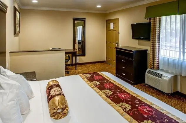 Oda, 1 En Büyük (King) Boy Yatak, Engellilere Uygun, Sigara İçilmez (Accessible Tub)
