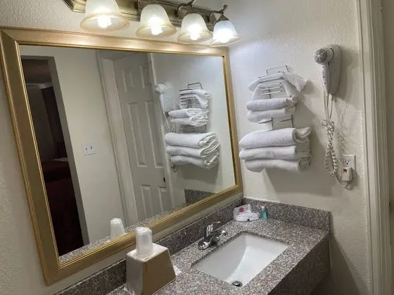 Room, 1 King Bed, Accessible, Non Smoking