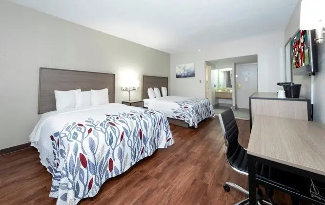 Deluxe Oda, 2 Çift Kişilik Yatak, Sigara İçilmez