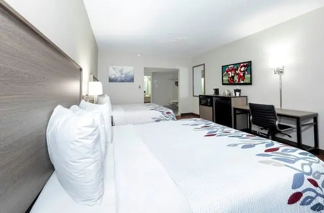 Deluxe Oda, 2 Çift Kişilik Yatak, Sigara İçilmez