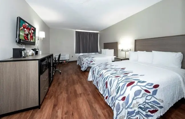 Deluxe Oda, 2 Çift Kişilik Yatak, Sigara İçilmez
