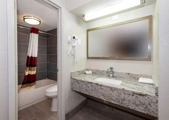 Deluxe Oda, 2 Çift Kişilik Yatak, Sigara İçilmez