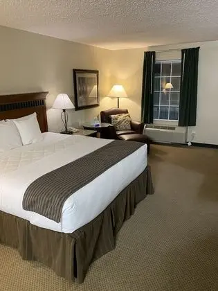 Oda, 1 En Büyük (King) Boy Yatak, Engellilere Uygun, Sigara İçilebilir