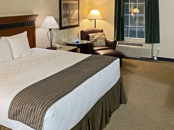 Oda, 1 En Büyük (King) Boy Yatak, Engellilere Uygun, Sigara İçilebilir