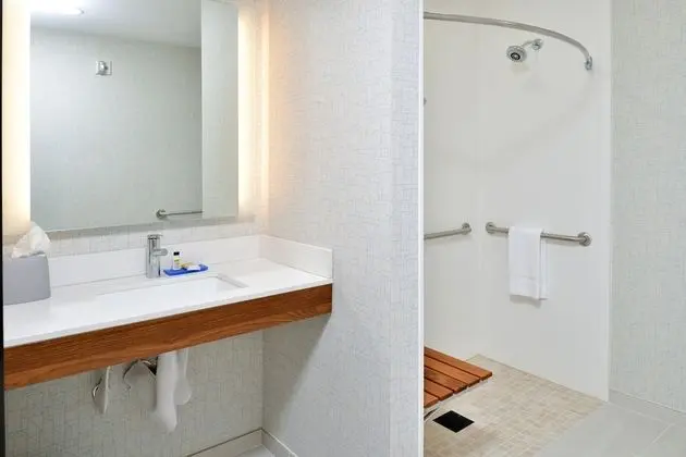 Oda, 1 En Büyük (King) Boy Yatak, Engellilere Uygun, Sigara İçilmez (Mobility, Roll-In Shower)