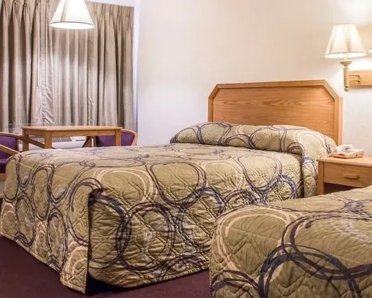 Standard Oda, 2 Büyük (Queen) Boy Yatak, Sigara İçilmez (Pet Friendly)