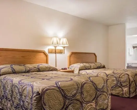 Standard Oda, 2 Büyük (Queen) Boy Yatak, Sigara İçilmez (Pet Friendly)