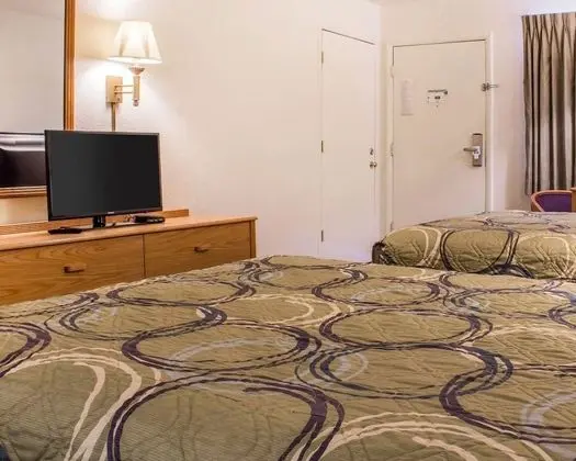 Standard Oda, 2 Büyük (Queen) Boy Yatak, Sigara İçilmez (Pet Friendly)