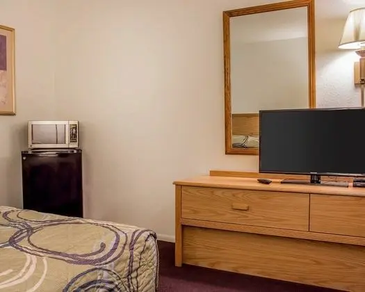 Standard Oda, 2 Büyük (Queen) Boy Yatak, Sigara İçilmez (Pet Friendly)