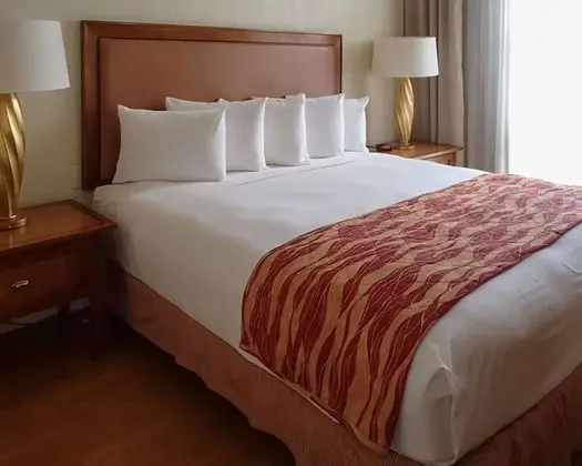 Süit, 1 En Büyük (King) Boy Yatak ve Çekyat, Sigara İçilmez (Top Floor)