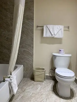 Standard Oda, 1 En Büyük (King) Boy Yatak, Sigara İçilmez