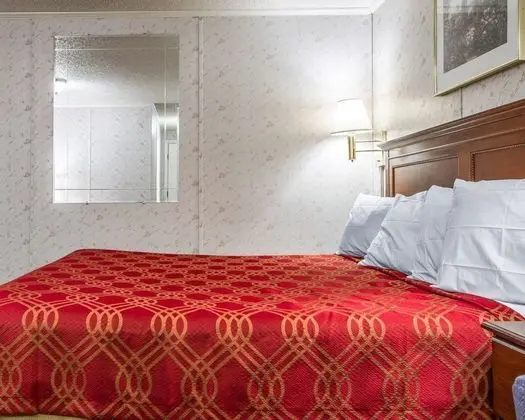 Standard Oda, 1 En Büyük (King) Boy Yatak, Sigara İçilmez