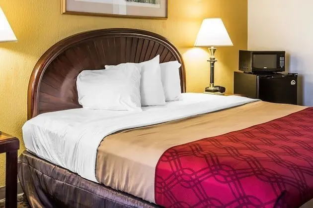 Oda, 1 En Büyük (King) Boy Yatak, Engellilere Uygun, Sigara İçilebilir