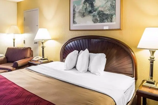 Oda, 1 En Büyük (King) Boy Yatak, Engellilere Uygun, Sigara İçilmez