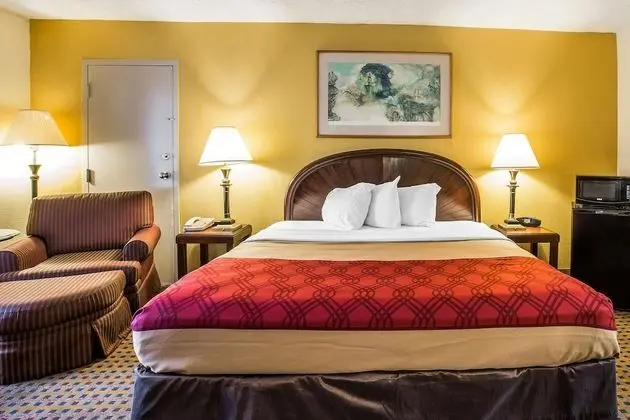 Standard Oda, 1 En Büyük (King) Boy Yatak, Sigara İçilmez