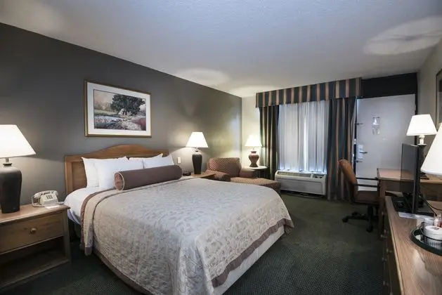 1 Çift ​​kişilik Yatak King Size Bed