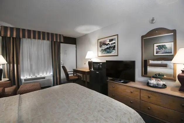 1 Çift ​​kişilik Yatak King Size Bed