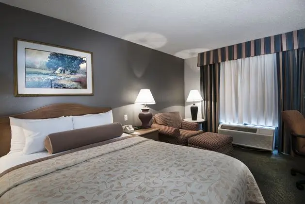 1 Çift ​​kişilik Yatak King Size Bed