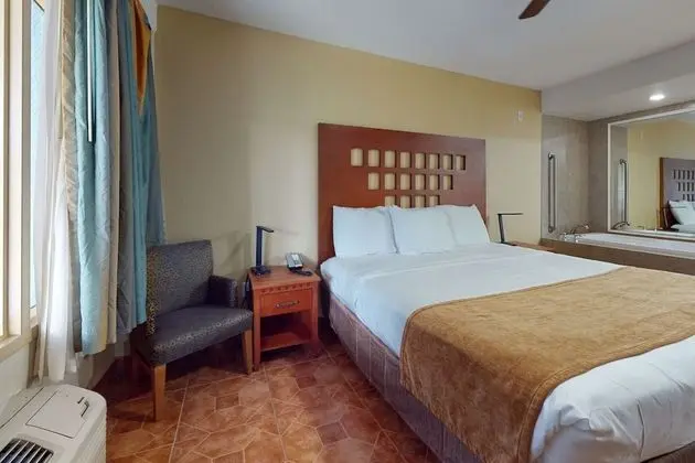 Deluxe Room, 1 King Bed, Jetted Tub, No Pets Allowed