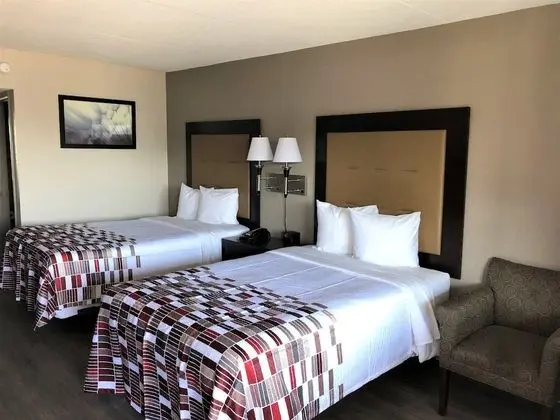 Deluxe Oda, 2 Çift Kişilik Yatak, Sigara İçilmez