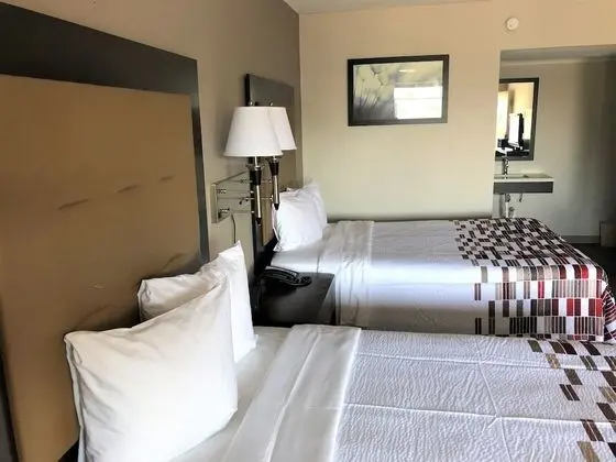 Deluxe Oda, 2 Çift Kişilik Yatak, Sigara İçilmez