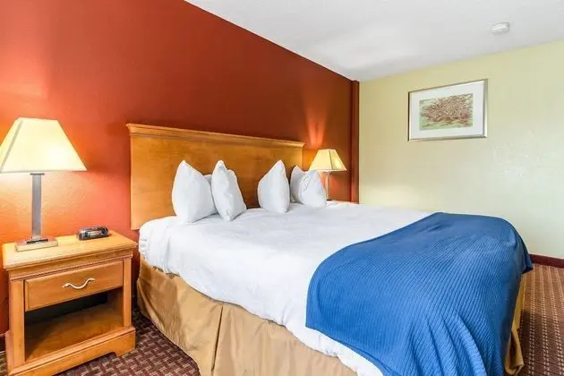 Standard Oda, 1 En Büyük (King) Boy Yatak, Sigara İçilmez