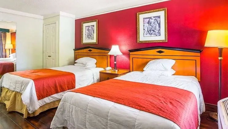 Deluxe Oda, 2 Çift Kişilik Yatak, Sigara İçilmez, Buzdolabı ve Mikrodalga