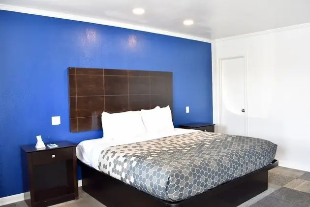 Oda, 1 En Büyük (King) Boy Yatak, Engellilere Uygun, Sigara İçilebilir