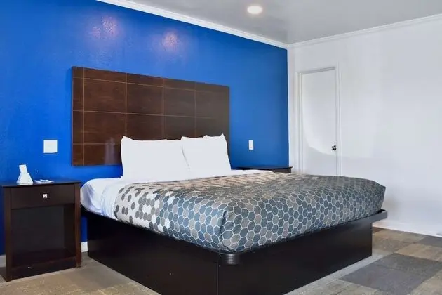 Oda, 1 En Büyük (King) Boy Yatak, Sigara İçilebilir