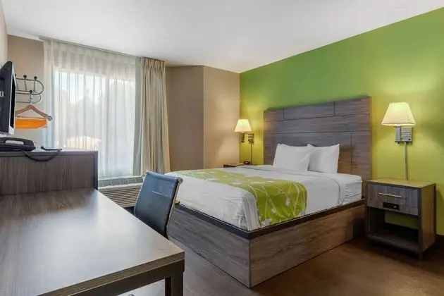 Comfort Oda, 1 Büyük (Queen) Boy Yatak, Engellilere Uygun, Sigara İçilmez