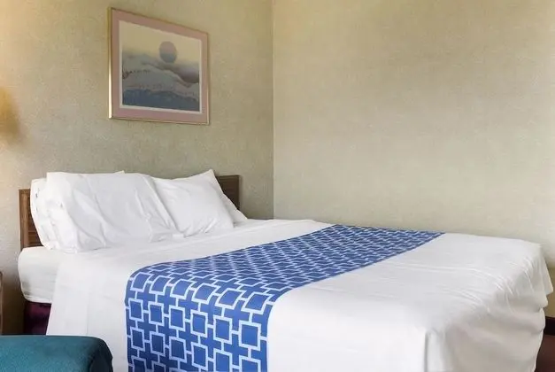 Oda, 1 Büyük (Queen) Boy Yatak, Engellilere Uygun, Sigara İçilmez