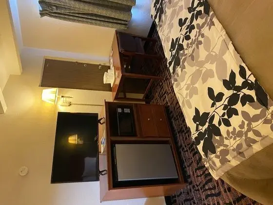 Standard Oda, 1 En Büyük (King) Boy Yatak, Sigara İçilebilir