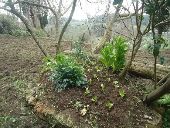 Ev, 2 Yatak Odası, Dağ Manzaralı