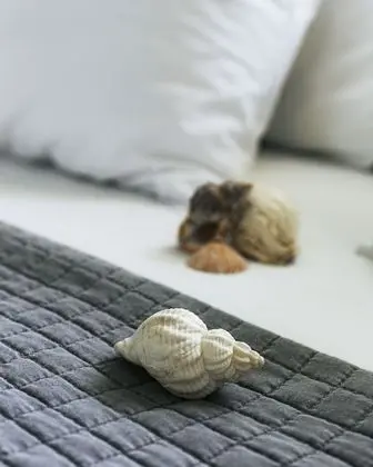 Standard Apart Daire, 1 Yatak Odası, Deniz Manzaralı