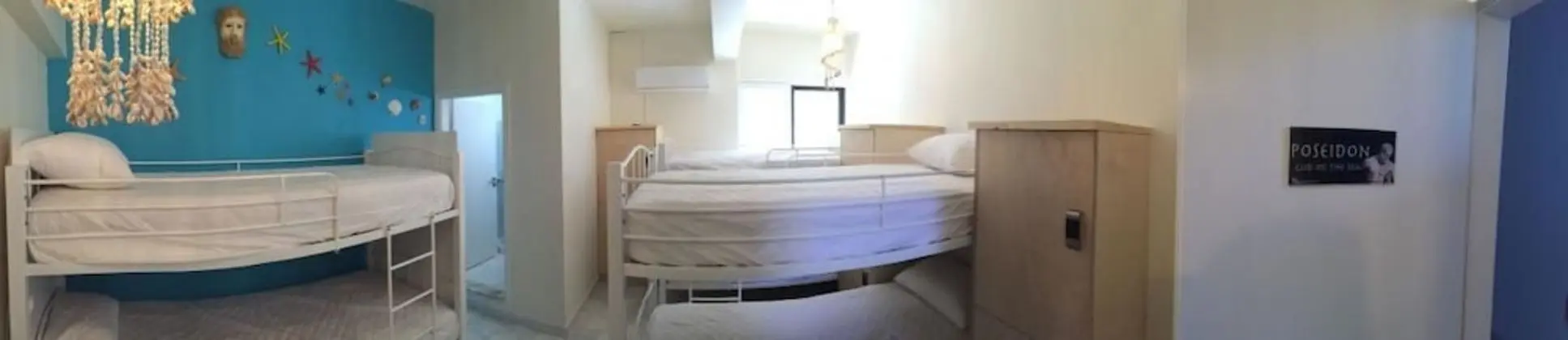 Deluxe Ortak Ranzalı Oda (4 beds)