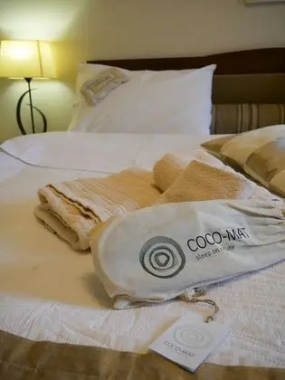 Deluxe Tek Büyük Yataklı Oda, Şömine