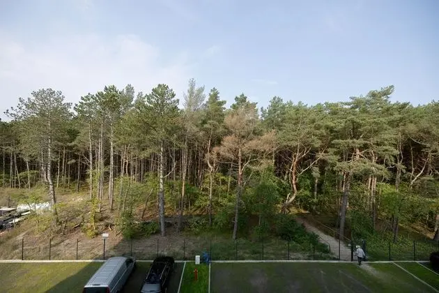 Stüdyo, Havuz Kullanımı, Plaj Kenarı