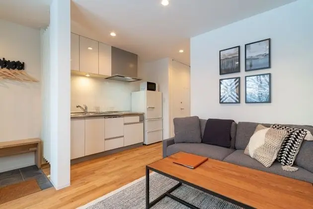 Apart Daire, 1 Yatak Odası (for 2 Guests)