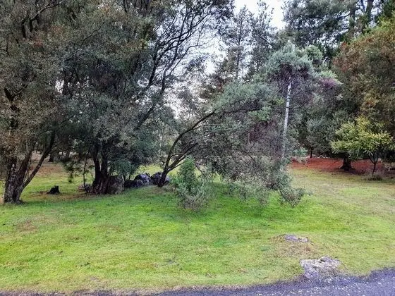 Family Kır Evi (Wombat)