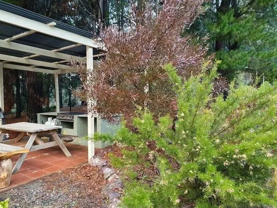 Family Kır Evi (Wombat)