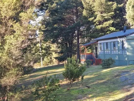 Family Kır Evi (Wombat)
